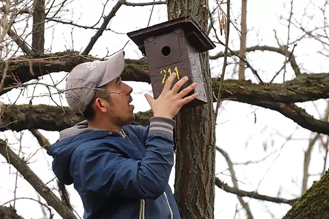 madárodú felhelyezése madárodú felhelyezése