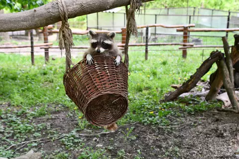 Október 1-től változik a Miskolci Állatkert nyitvatartási ideje Október 1-től változik a Miskolci Állatkert nyitvatartási ideje