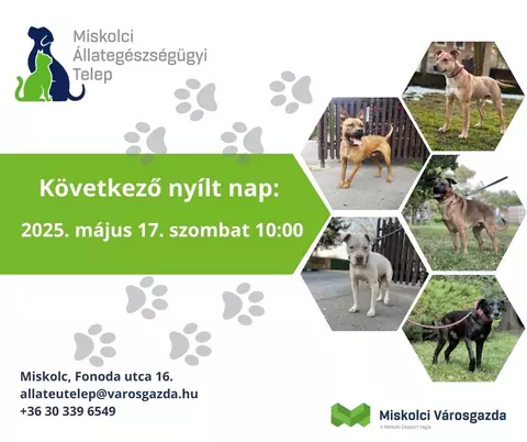 Nyílt nap az Állategészségügyi Telepen