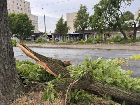 Pusztított a vihar Miskolcon. Fotók: Horváth Csongor Pusztított a vihar Miskolcon. Fotók: Horváth Csongor