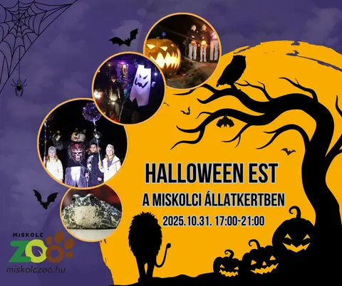 Miskolci Állatkert Miskolci Állatkert