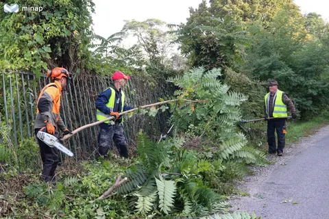 őszi nagytakarítás