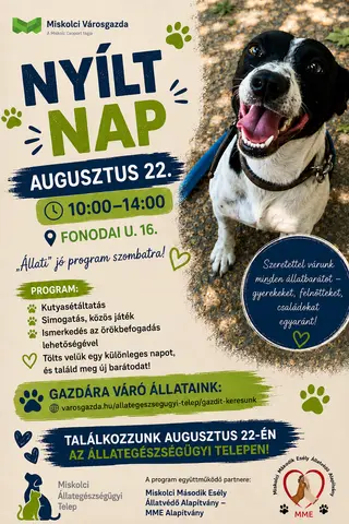 nyílt nap