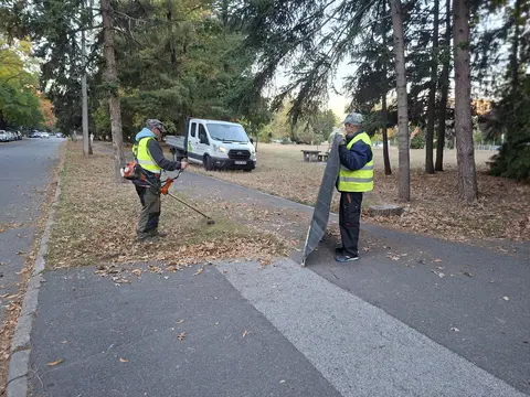 őszi nagytakarítás