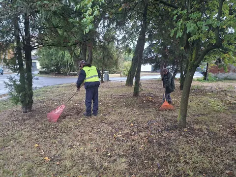 őszi nagytakarítás