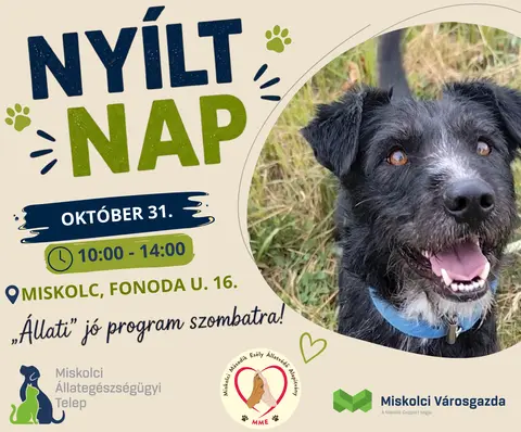 Nyílt nap az Állategészségügyi Telepen