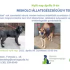 Nyílt nap az Állategészségügyi Telepen
