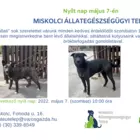 Nyílt nap az Állategészségügyi Telepen