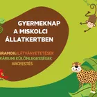 Gyermeknap az állatkertben