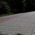 Folytatják a térkövezést az Állatkertben