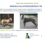 Nyílt nap az Állategészségügyi Telepen