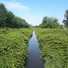 Forrás: minap.hu