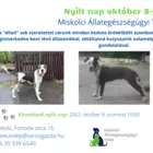 Nyílt nap az Állategészségügyi Telepen