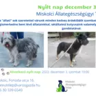 Nyílt nap az Állategészségügyi Telepen