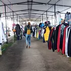 Piacnap a Zsarnain
