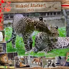 Valentin-napok az állatkertben