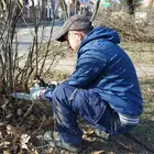 Cserjegondozás a Hét vezér téren