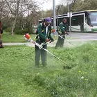 Fűnyírás Miskolcon