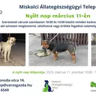 Nyílt nap a Miskolci Állategészségügyi Telepen