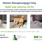 Nyílt nap március 25-én