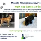 Nyílt nap - április 22