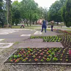 Országzászló tér virágosítás