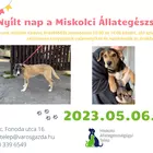 nyílt nap 05-06