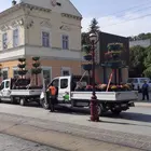 Virágfák
