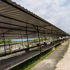 Lapszemle - folyamatos fejlesztések a Zsarnain