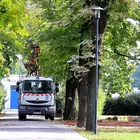 Népkerti munkálatok