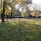 parkosítás Népkert parkosítás Népkert