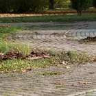 parkosítás Népkert parkosítás Népkert