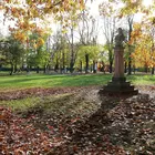 parkosítás Népkert parkosítás Népkert