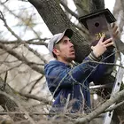 madárodú felhelyezése