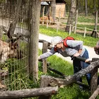 Föld Világnapja a Miskolci Állatkertben