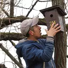 madárodú felhelyezése