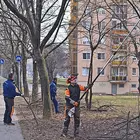 Fotó: Osztie Tibor