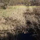 Fotó: Mocsári László