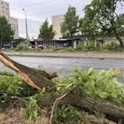 Pusztított a vihar Miskolcon. Fotók: Horváth Csongor