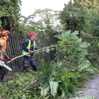  őszi nagytakarítás